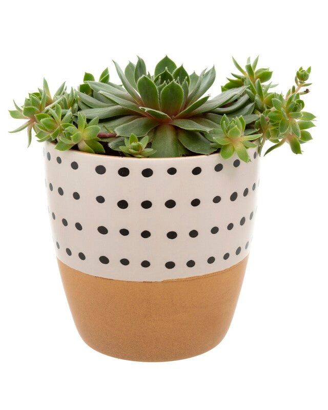 Doodle Pot in Caramel