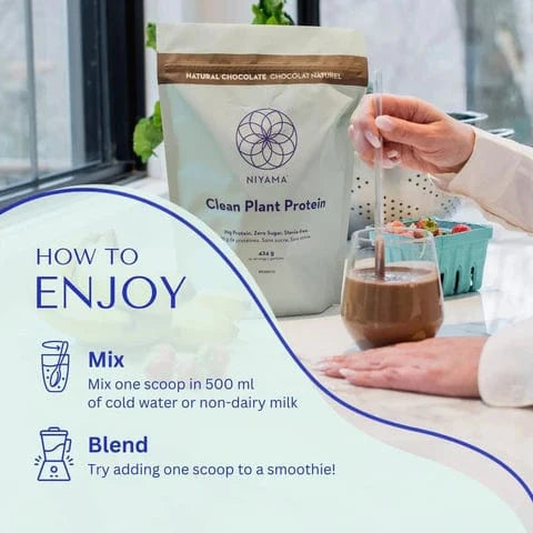 Clean Plant Protein: Chocolate