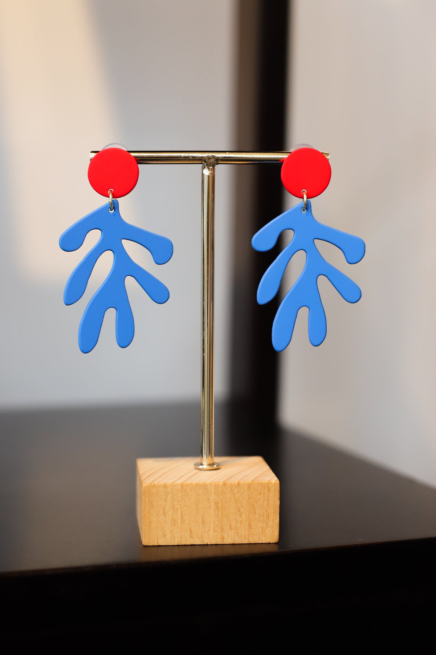 Earrings AG
