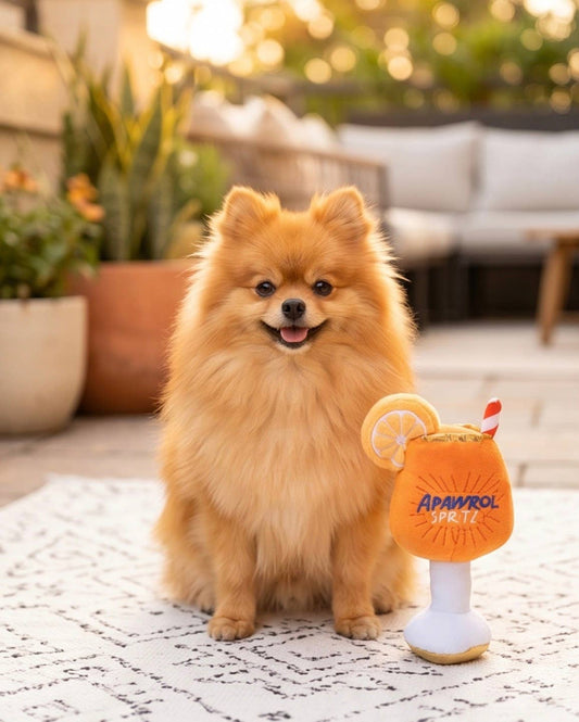Apawrol Spritz Squeaker Dog Toy