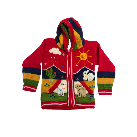 Peru Kids Sweater