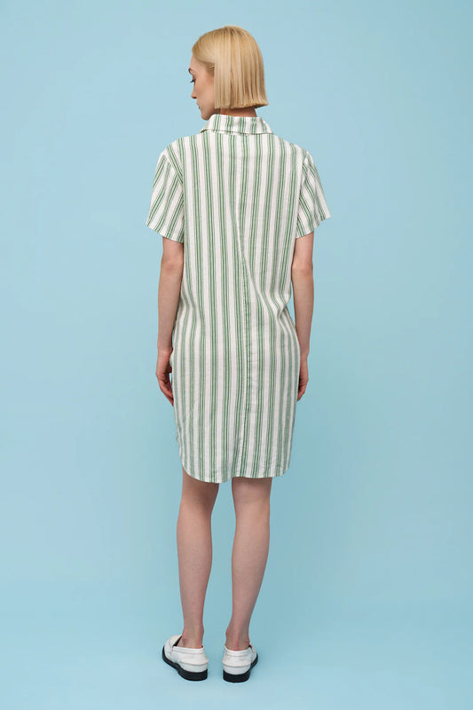 Rose Dress