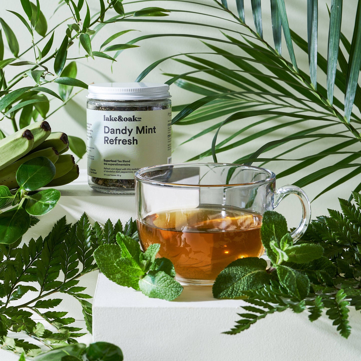 Dandy Mint Refresh - Wholesale