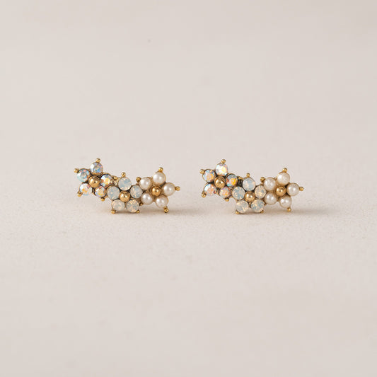 Floral Climber Earrings