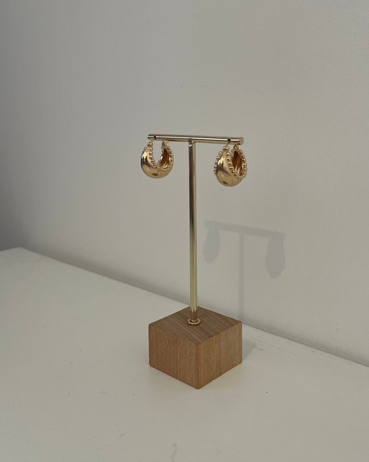 Hoops for Days Earrings