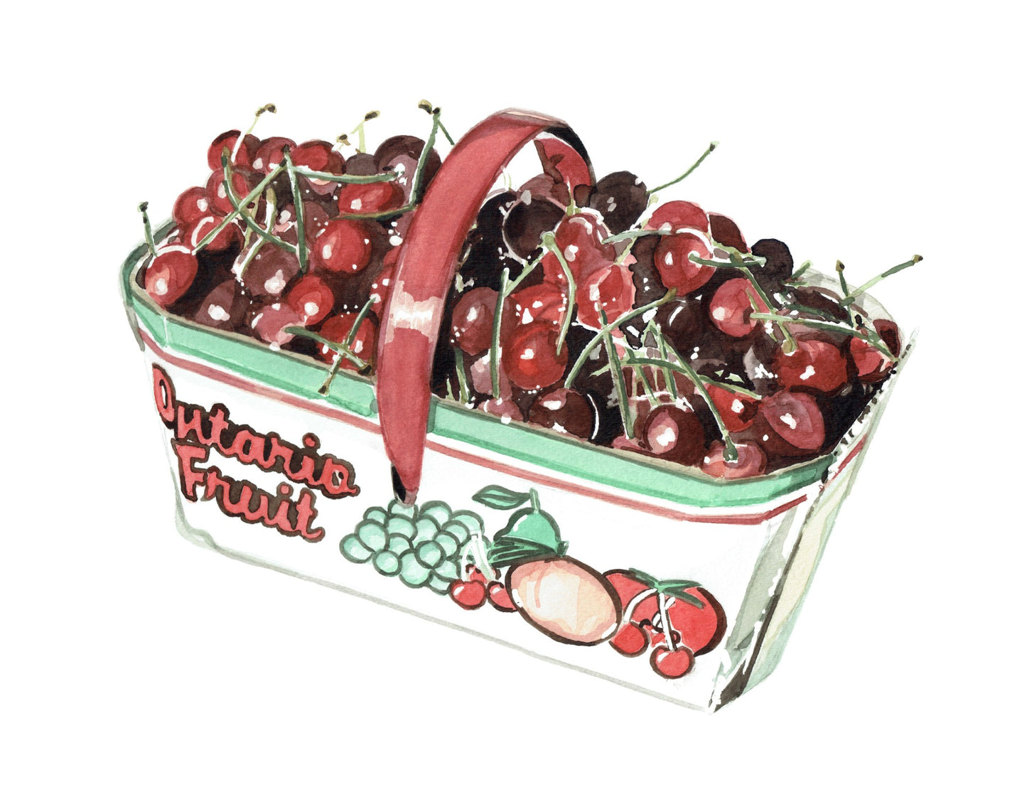 Ontario Cherries Print