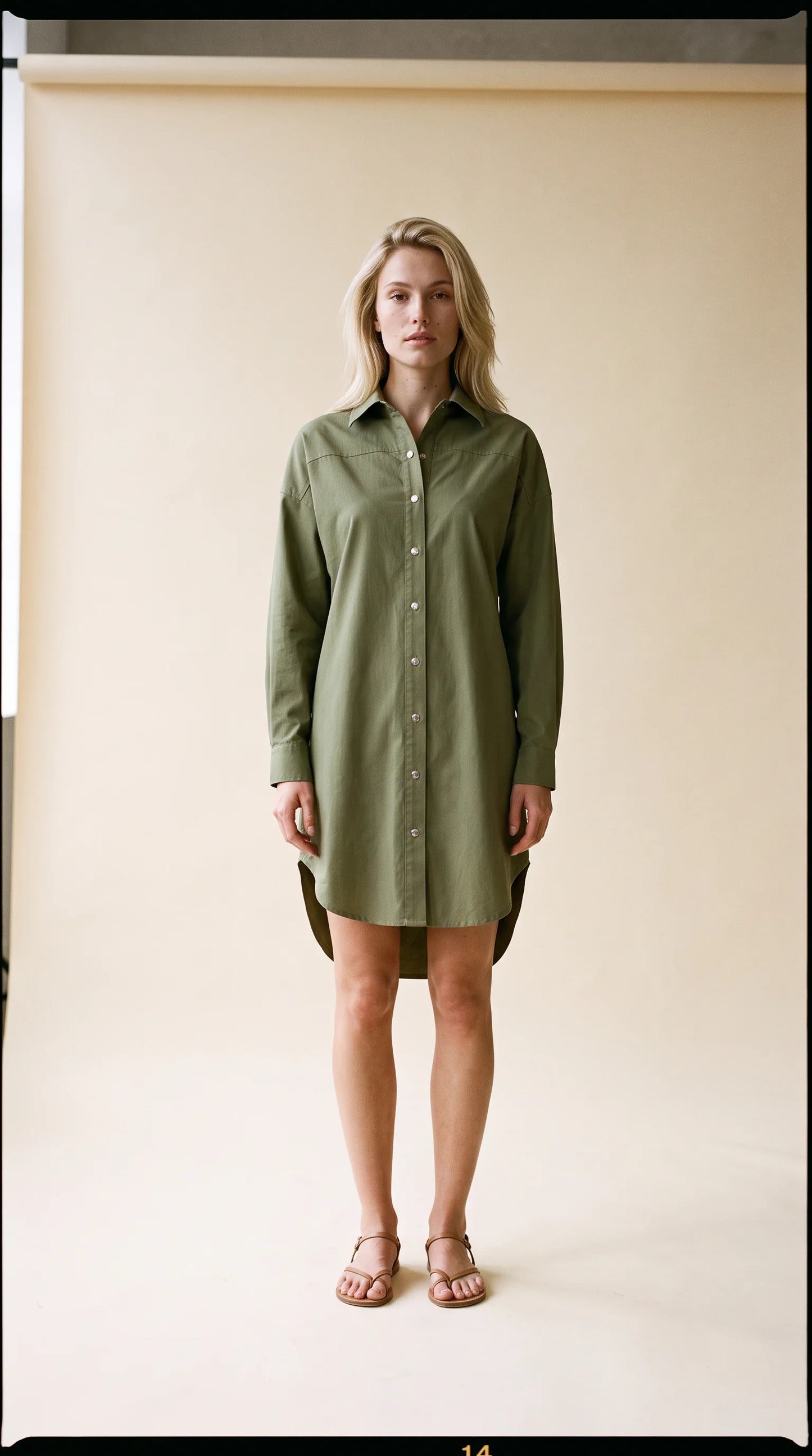 Sally Shirtdress