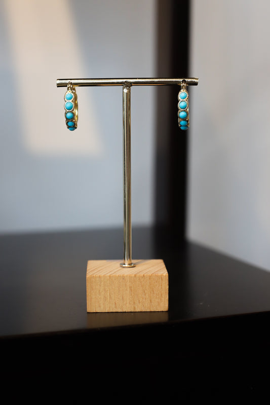 Earrings AG